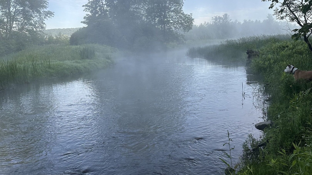 Photo of Others in Fly Creek