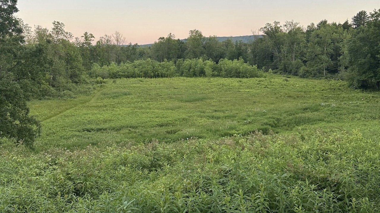 Photo of Others in Fly Creek