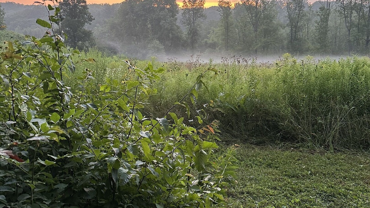 Photo of Others in Fly Creek