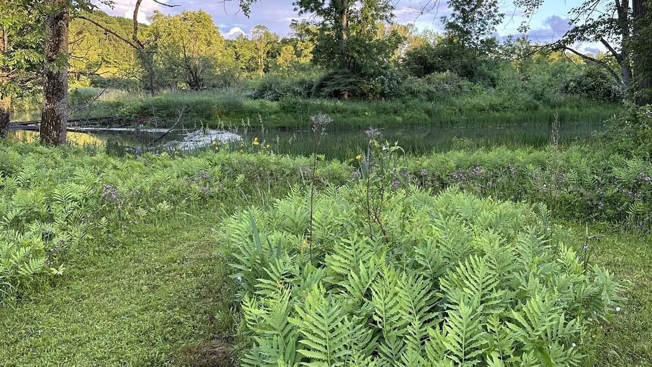 Photo of Outdoor in Fly Creek