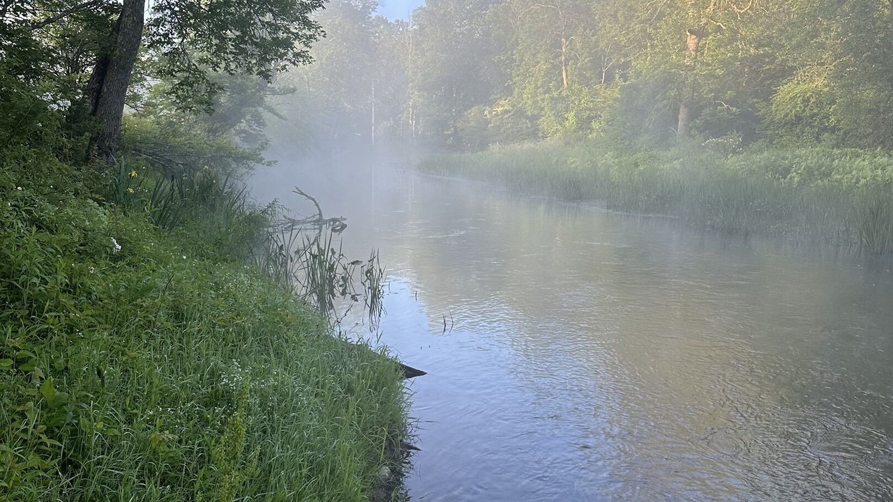 Photo of Others in Fly Creek