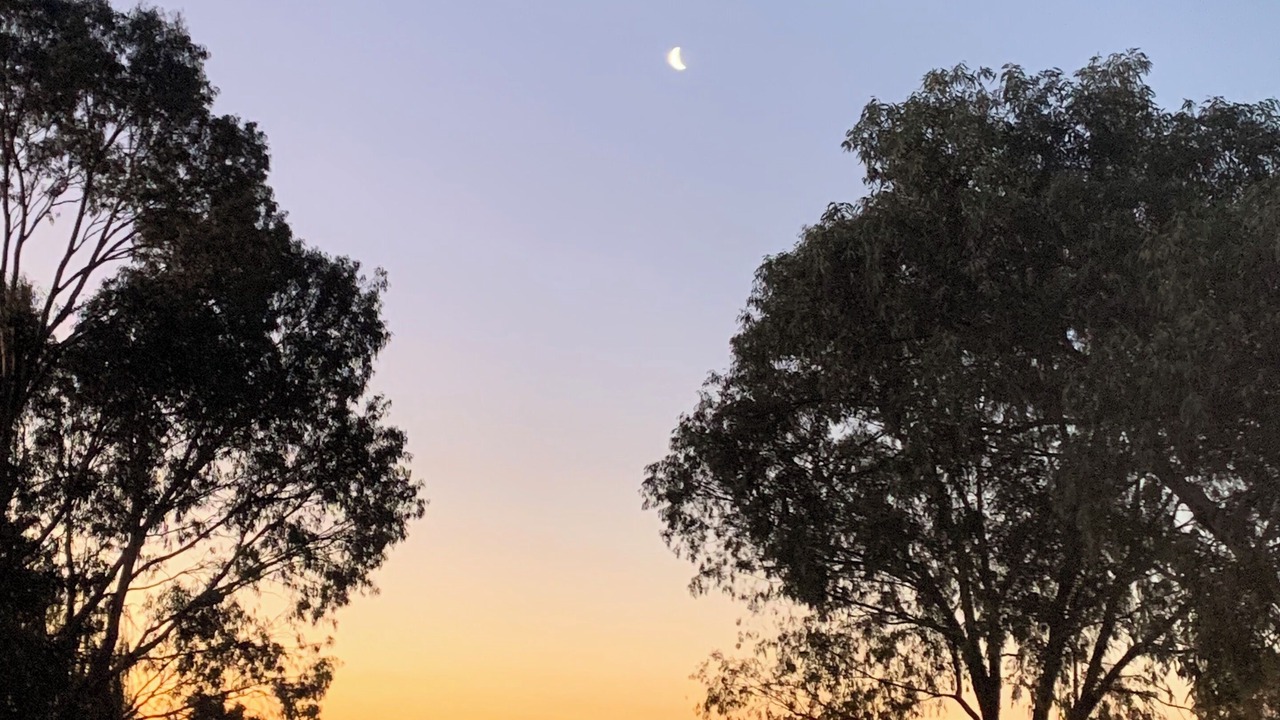 Photo of Others in Mooroopna