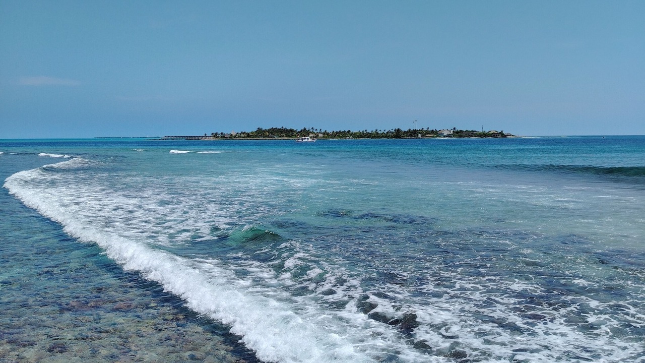 Photo of Others in Thulusdhoo Island