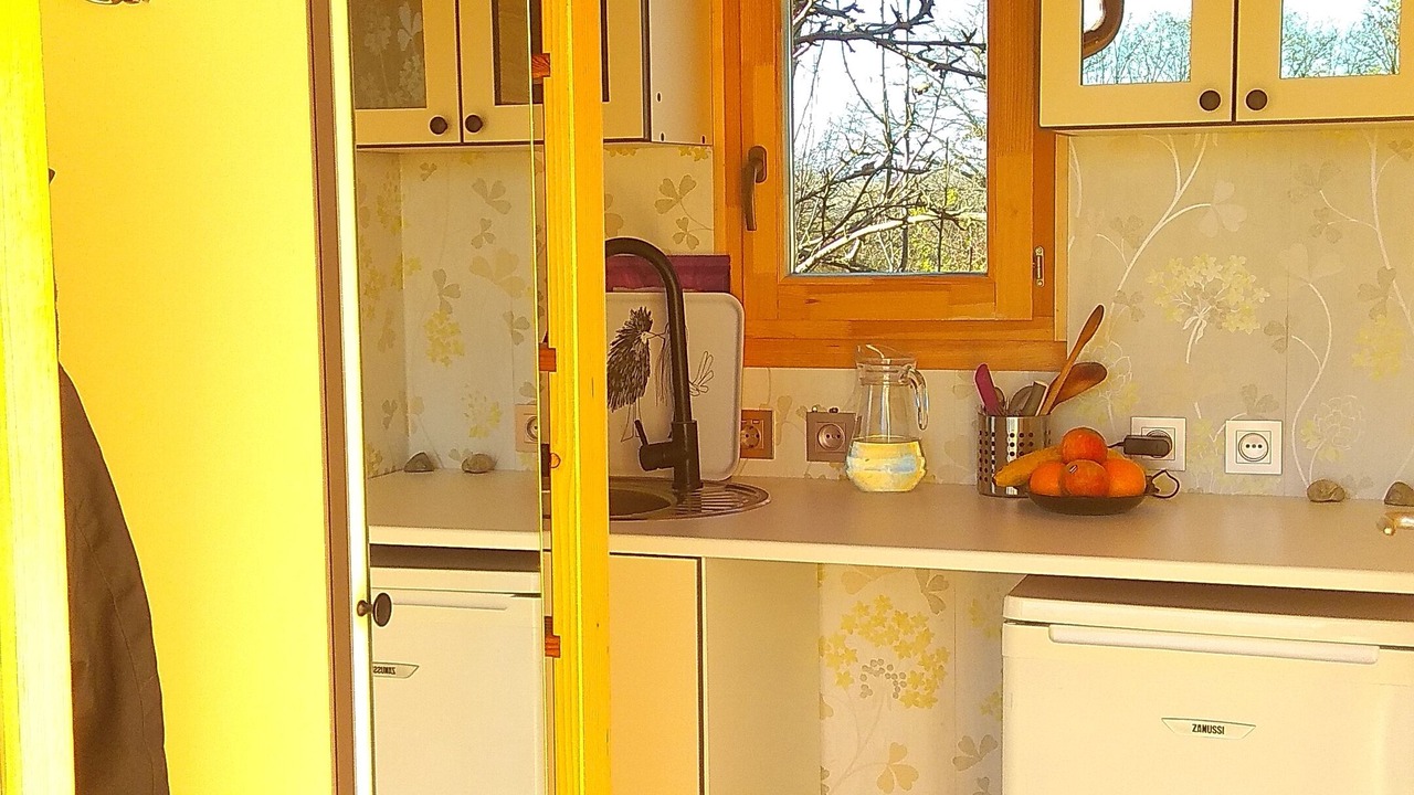 Photo of Kitchen in Patka