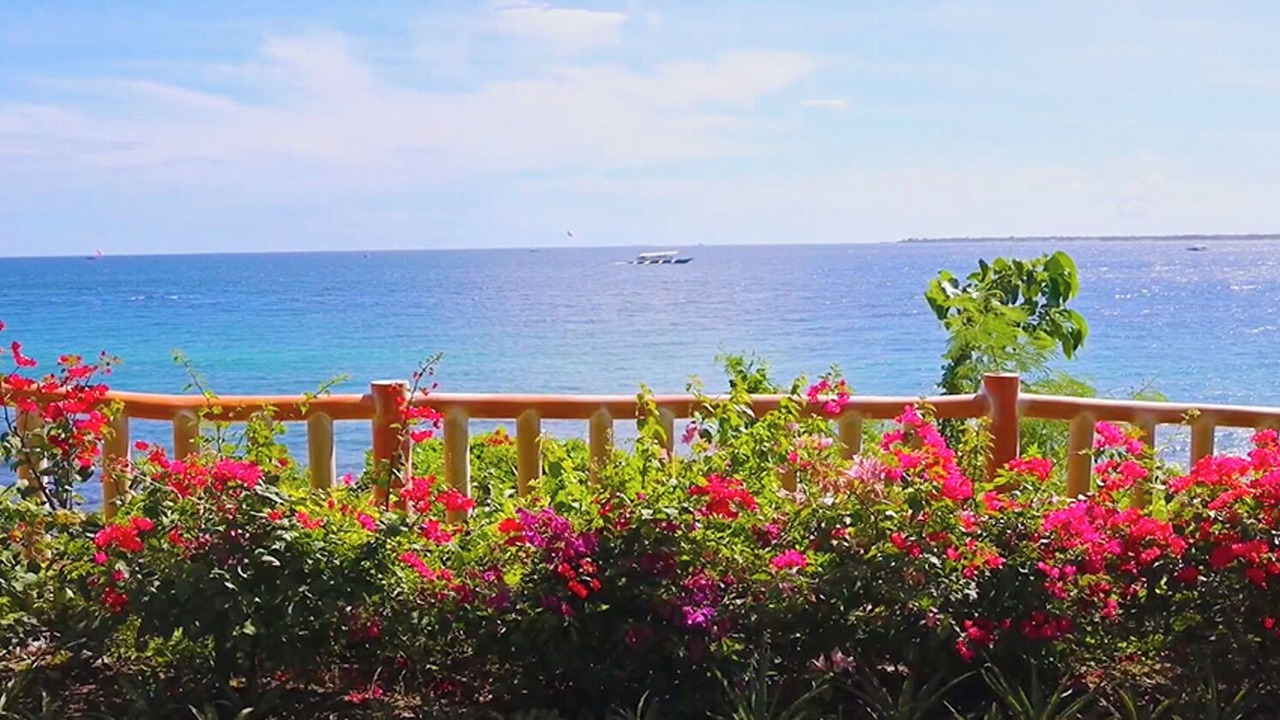 Photo of Others in Lapu-Lapu