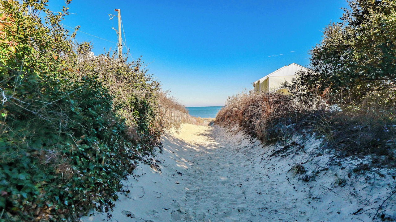 Photo of Others in Chic's Beach