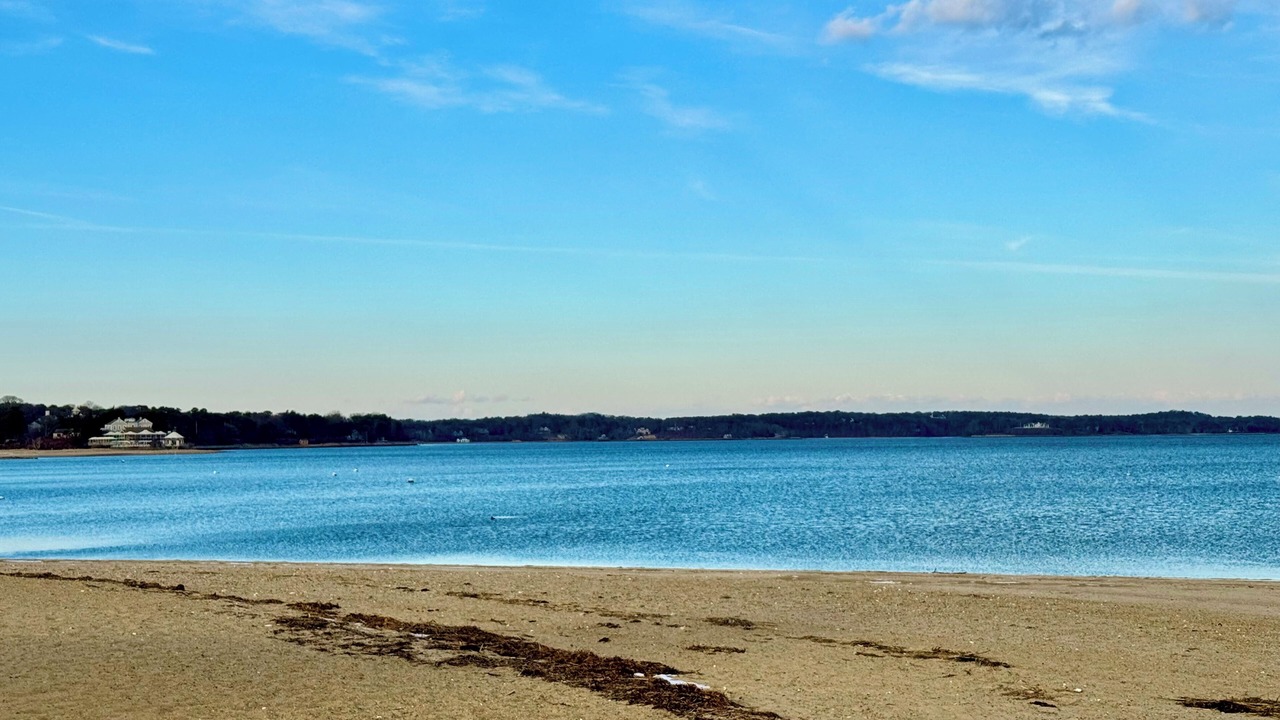 Photo of Others in East Harwich
