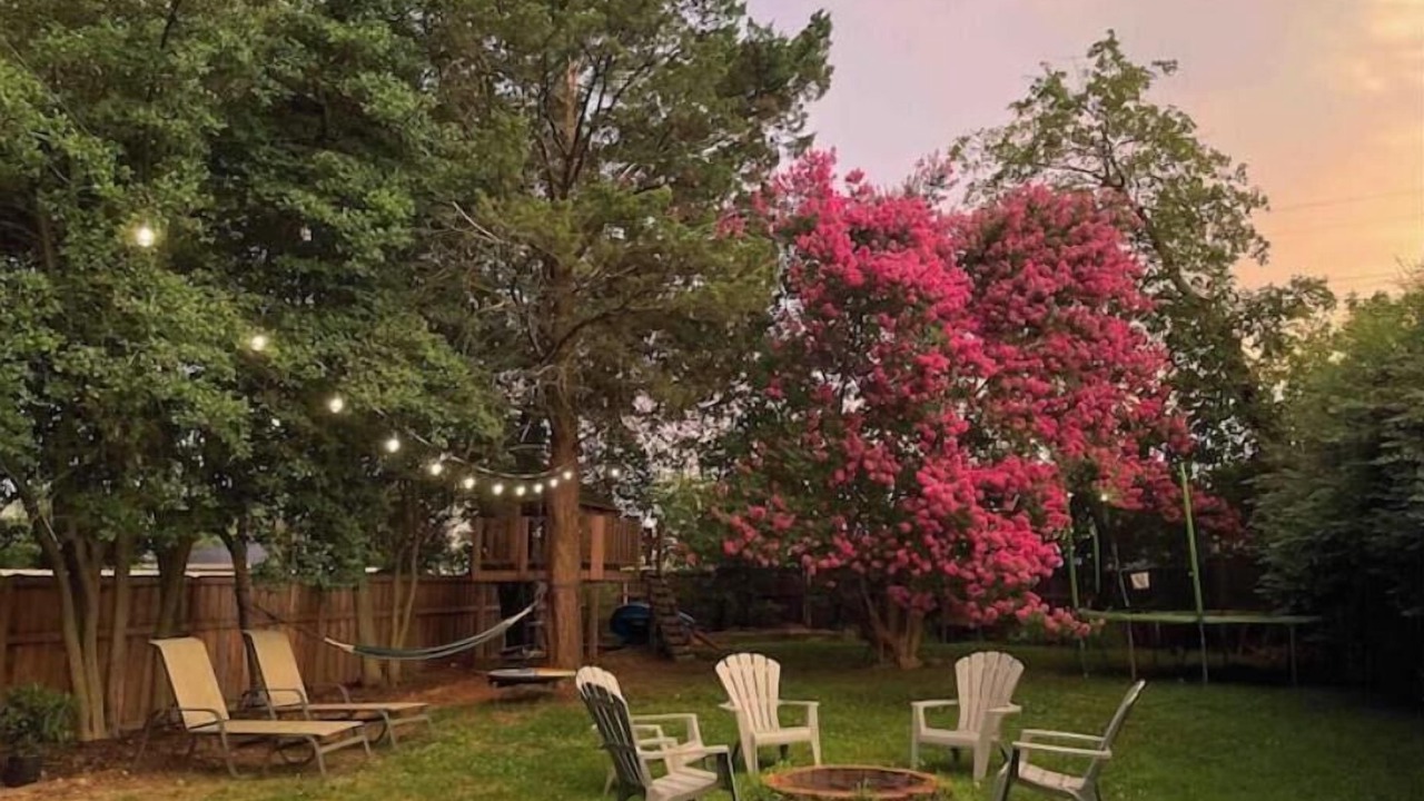 Photo of Outdoor in Mosby