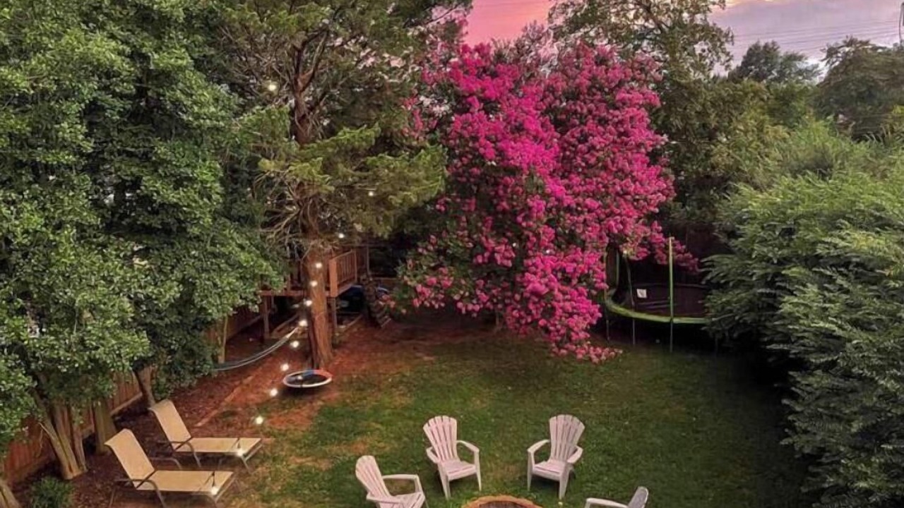 Photo of Outdoor in Mosby