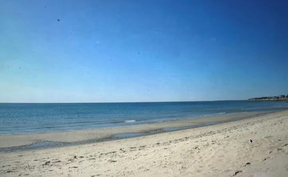 Photo of Others in West Harwich