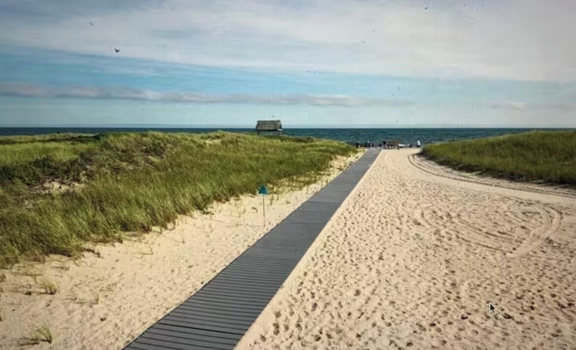 Photo of Others in West Harwich