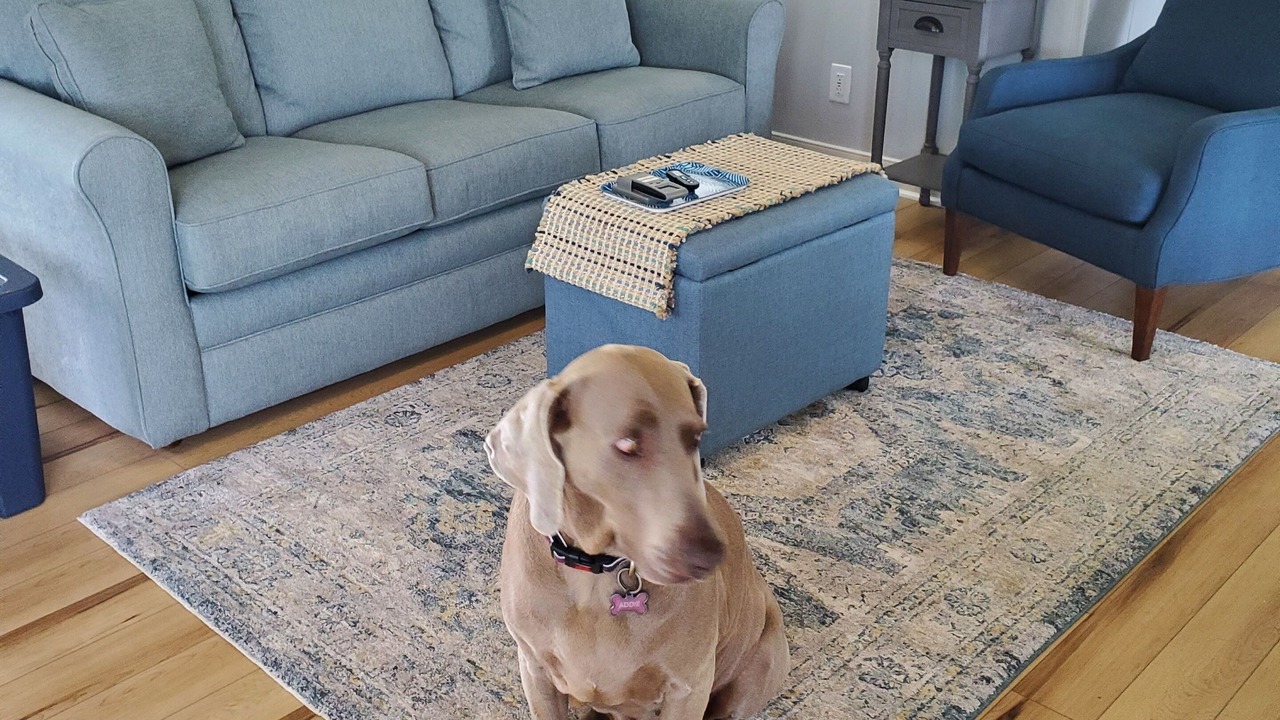 Photo of Livingroom in Susan