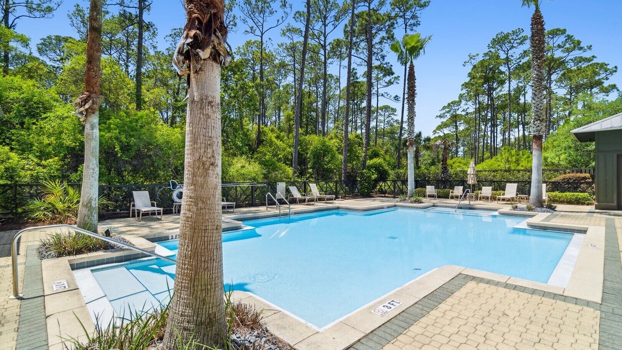 Photo of Outdoor in Treetop