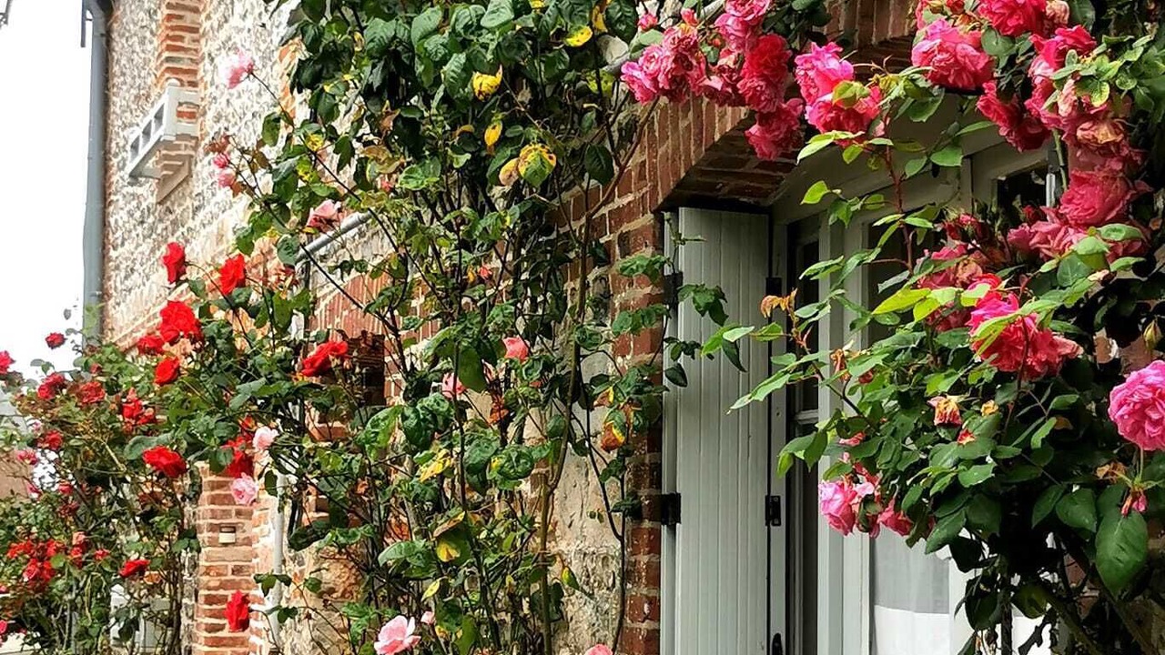 Photo of Outdoor in Veules-les-Roses