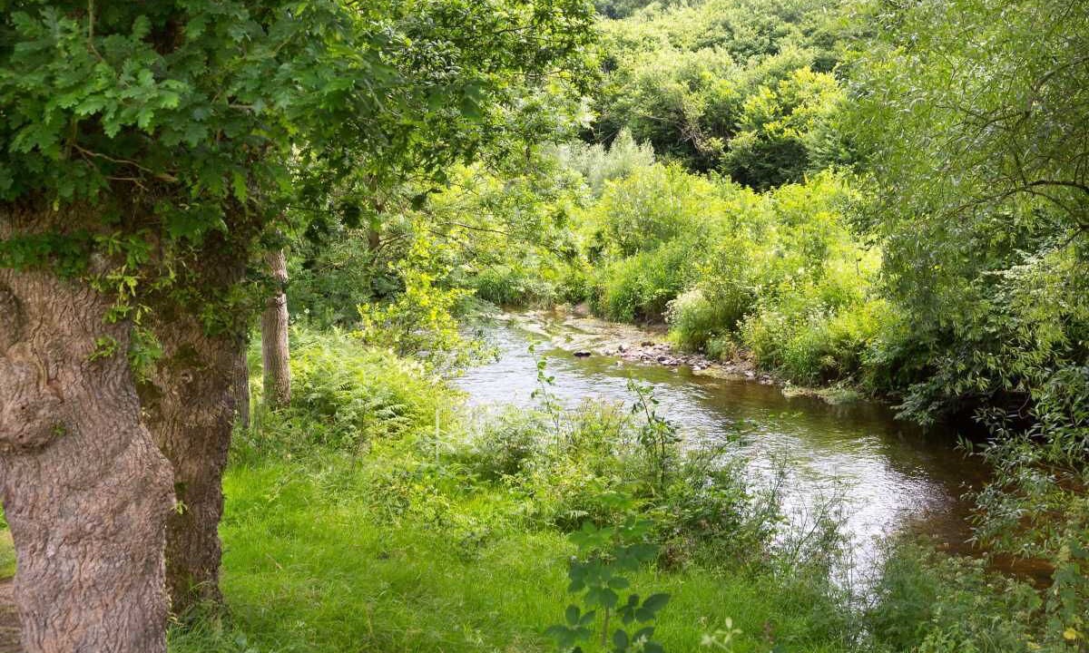 Photo of Others in Plounevez-Moedec