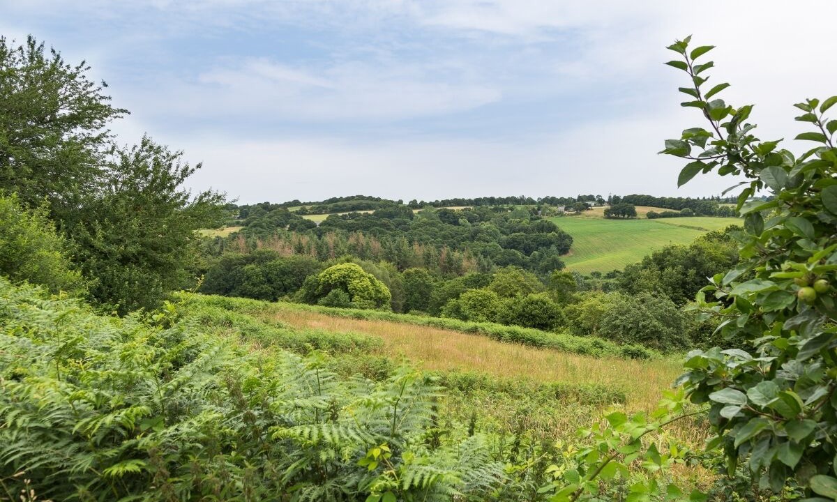 Photo of Others in Plounevez-Moedec