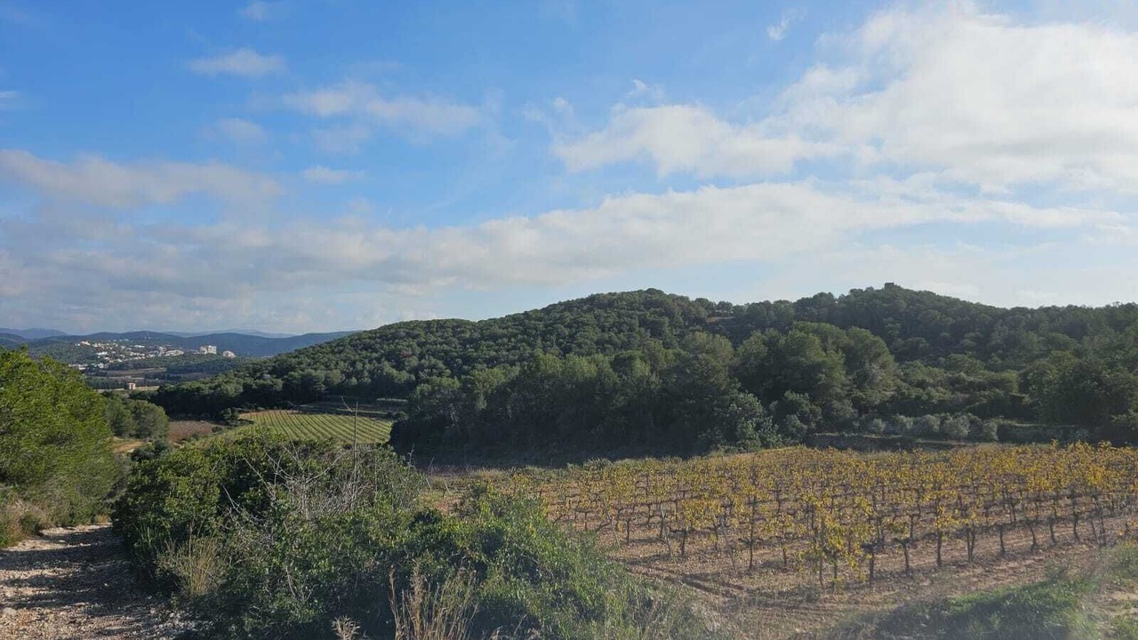 Photo of Others in Olivella
