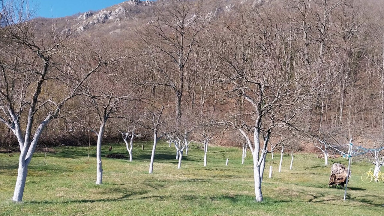 Photo of Others in Gracac