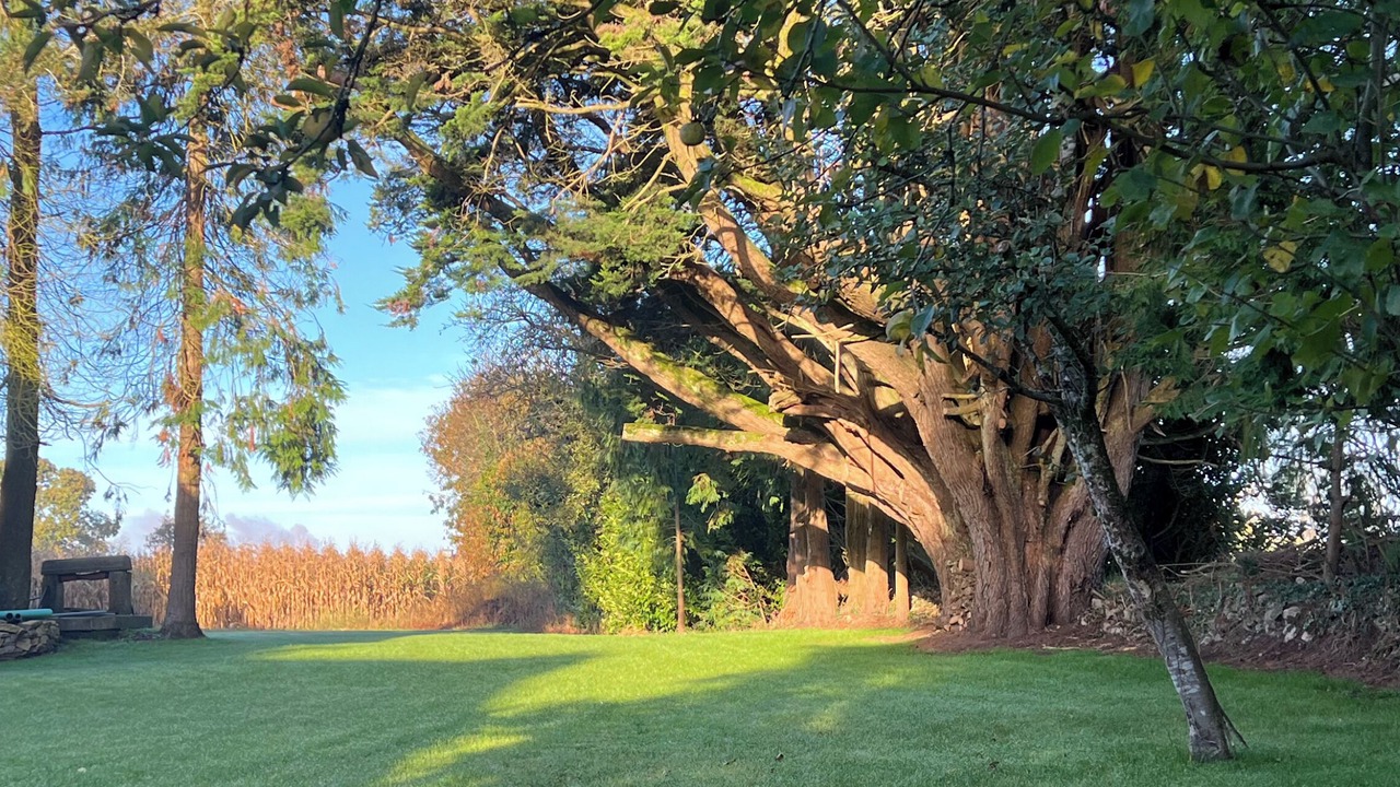 Photo of Outdoor in Tremeven