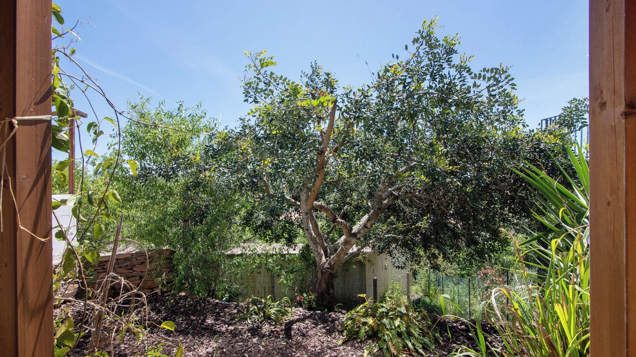 Photo of Outdoor in Sao Bras de Alportel
