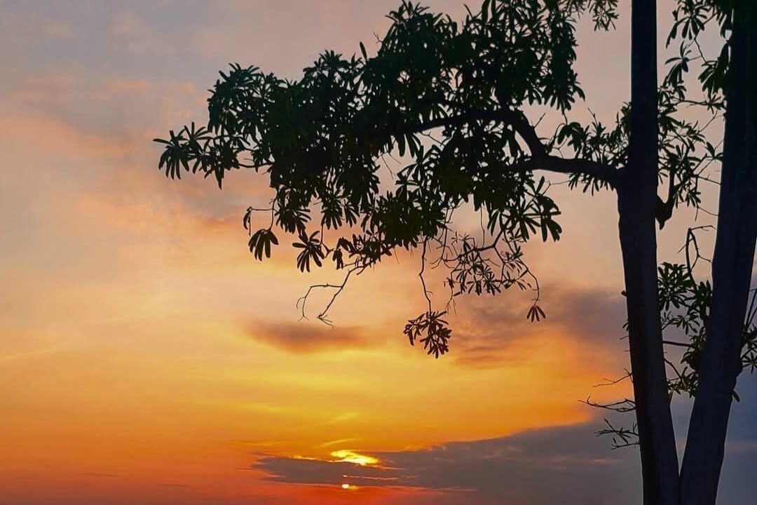 Photo of Others in Rayong