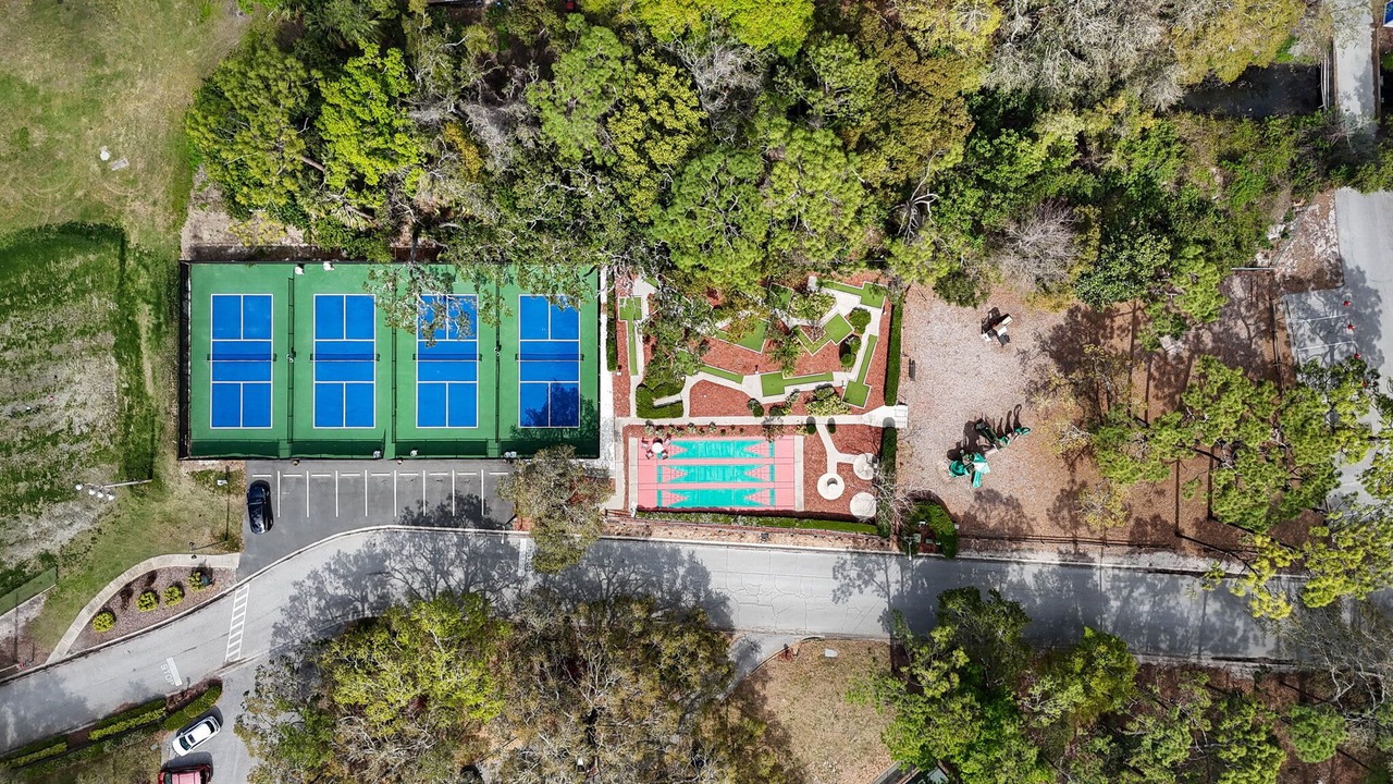 Photo of Outdoor in Palm Harbor