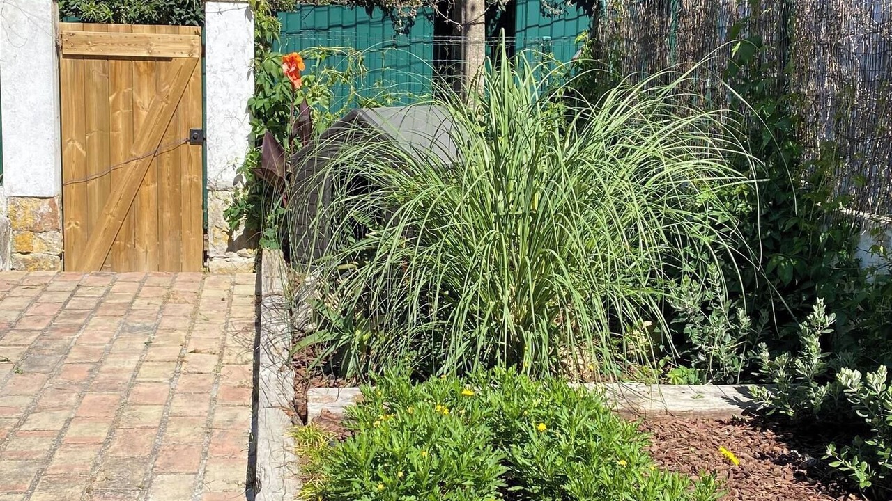 Photo of Outdoor in Banzao
