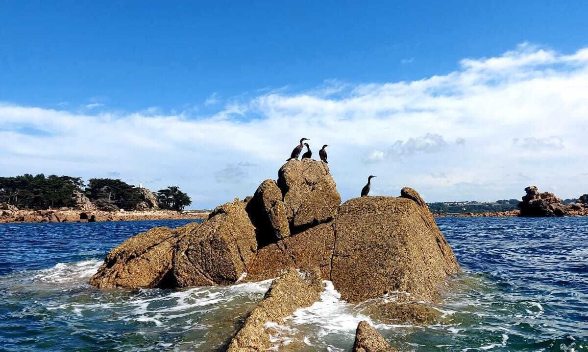 Photo of Others in Trevou-Treguignec