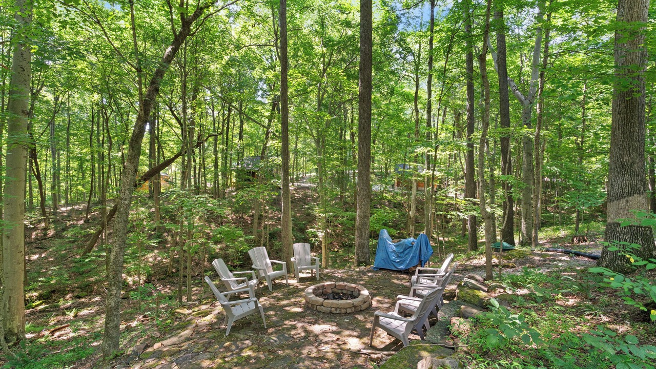 Photo of Outdoor in Birdseye