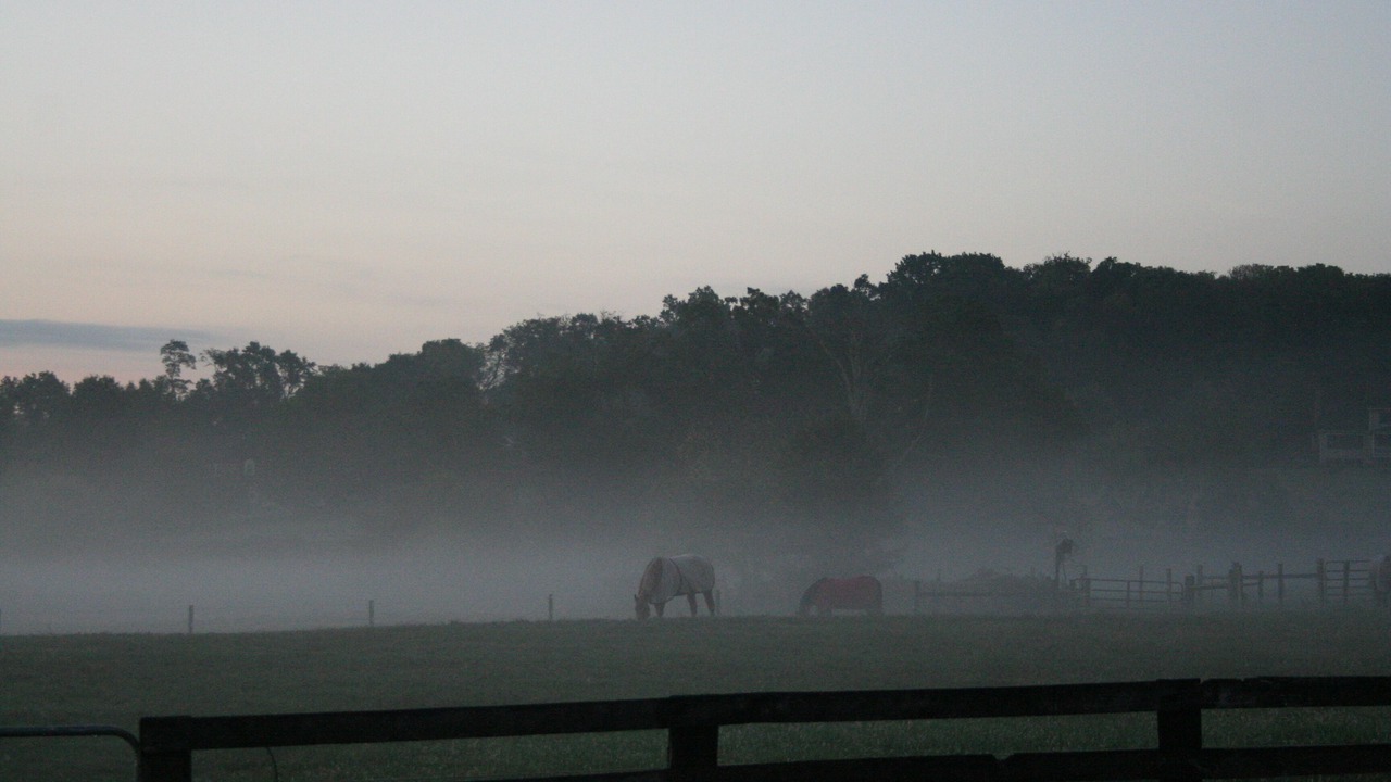 Photo of Others in Purcellville