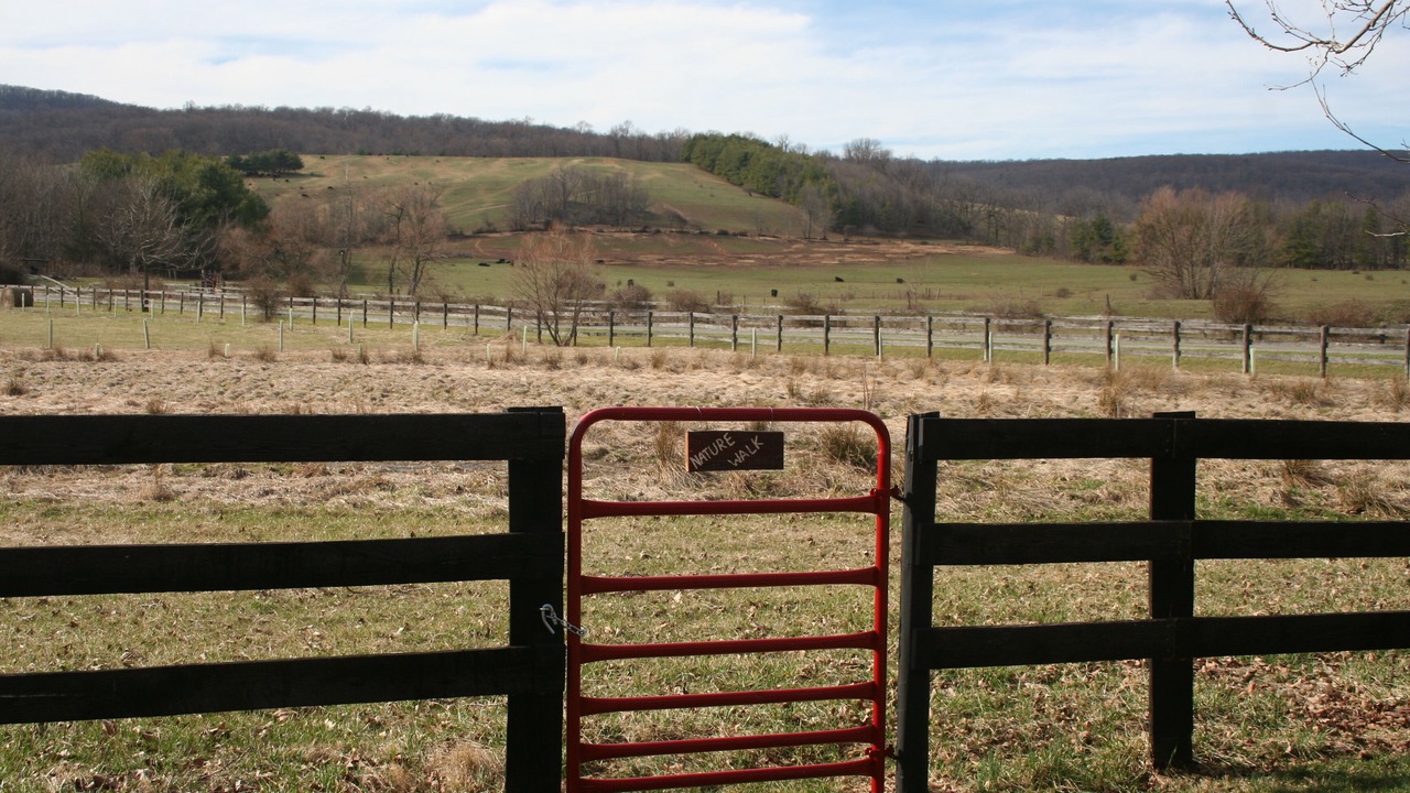 Photo of Others in Purcellville