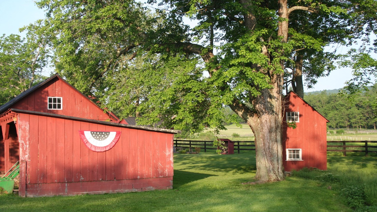 Photo of Others in Purcellville