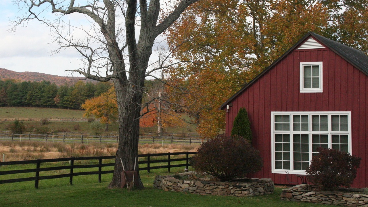 Photo of Others in Purcellville