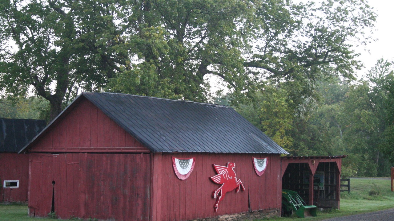 Photo of Others in Purcellville
