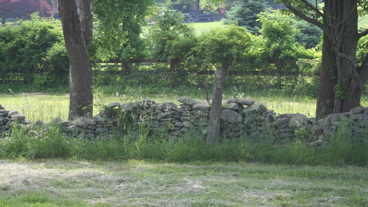 Photo of Others in Purcellville