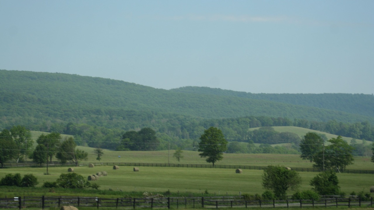Photo of Others in Purcellville