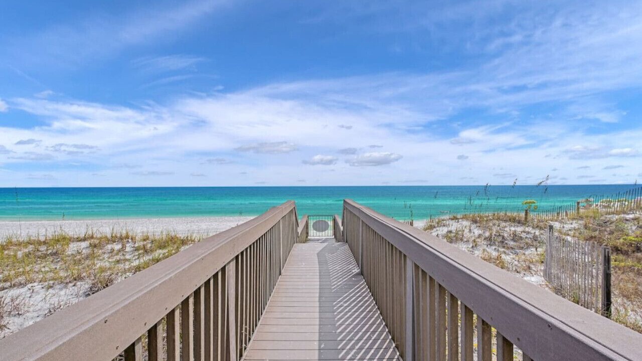 Photo of Others in Gulf Pines