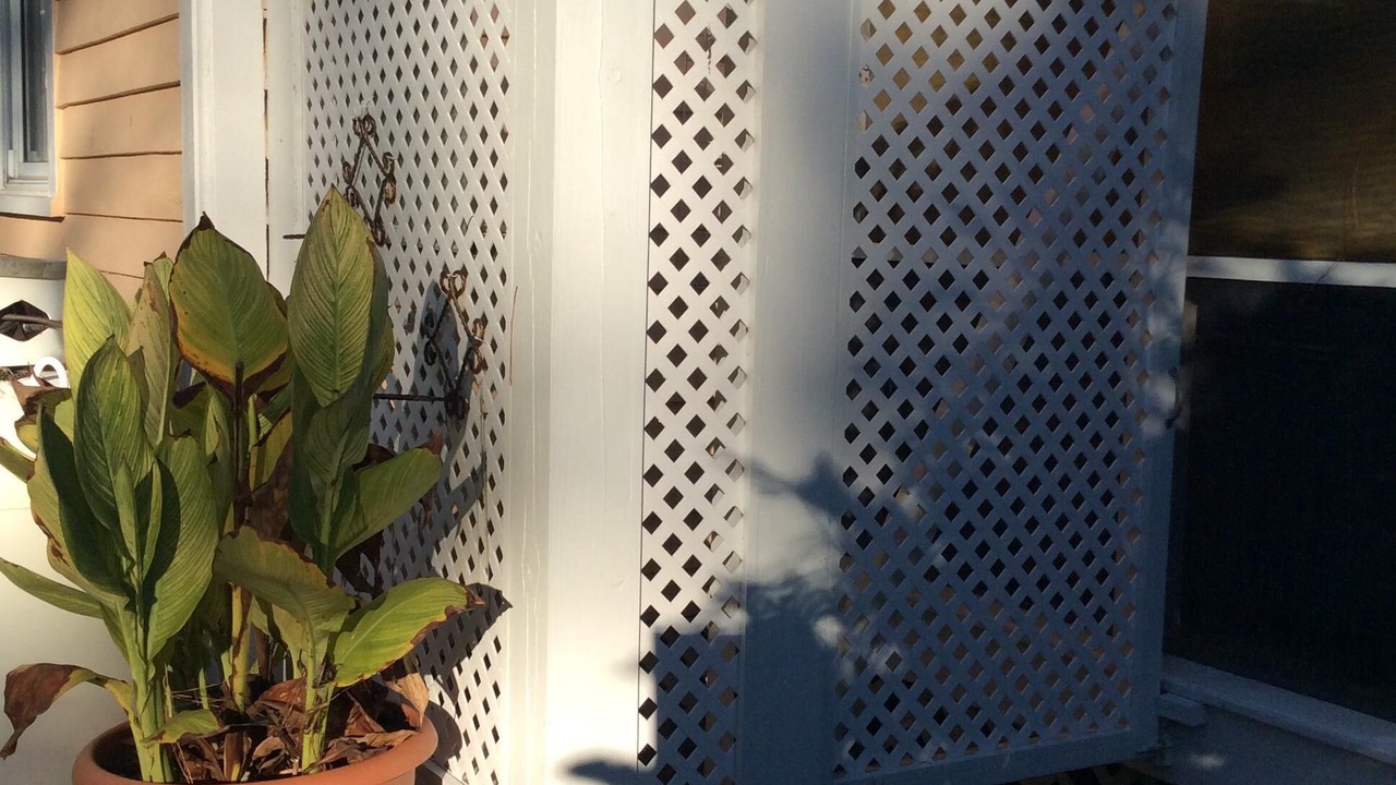 Photo of Outdoor in Irvington