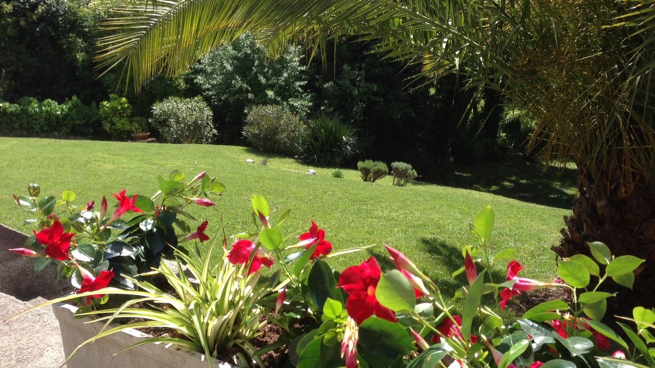 Photo of Outdoor in Vence