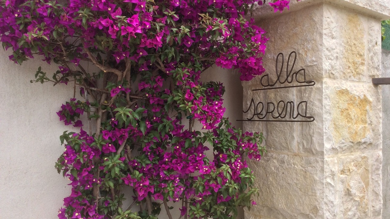 Photo of Outdoor in Vence