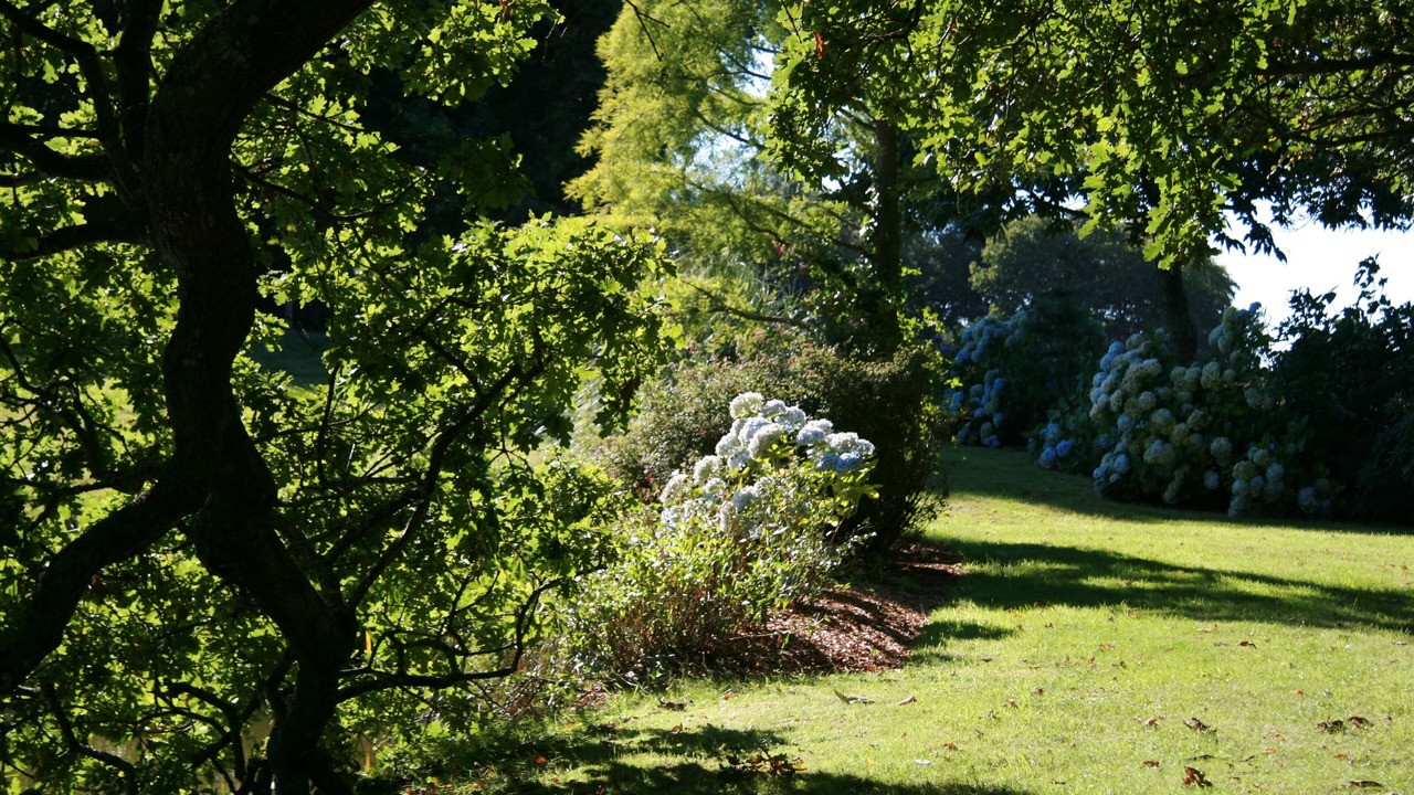 Photo of Outdoor in Lannion