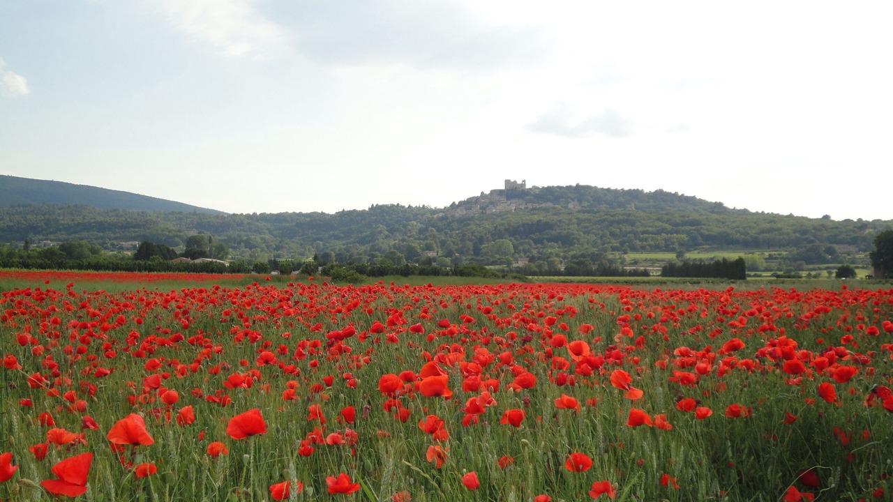 Photo of Outdoor in L'Isle-sur-la-Sorgue