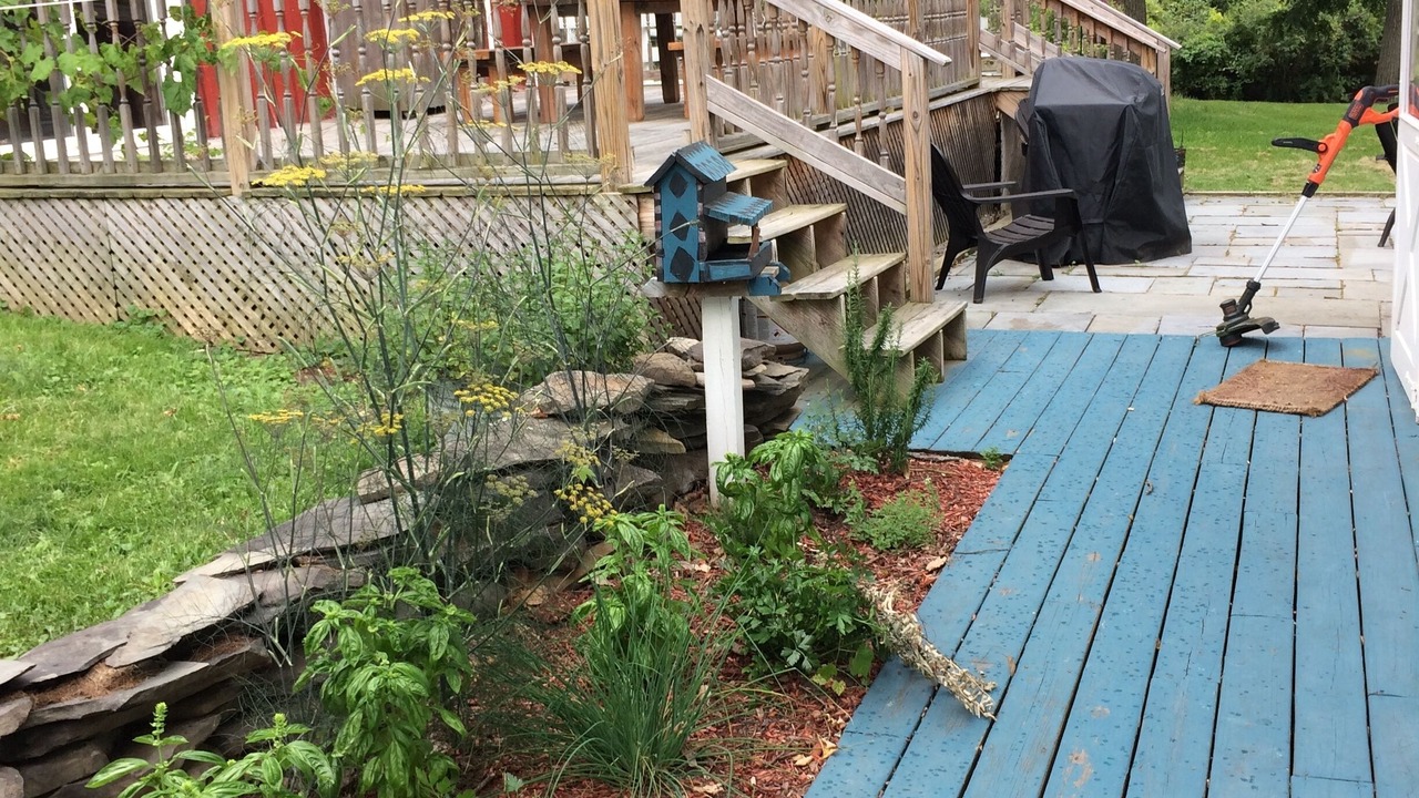 Photo of Outdoor in Burdett