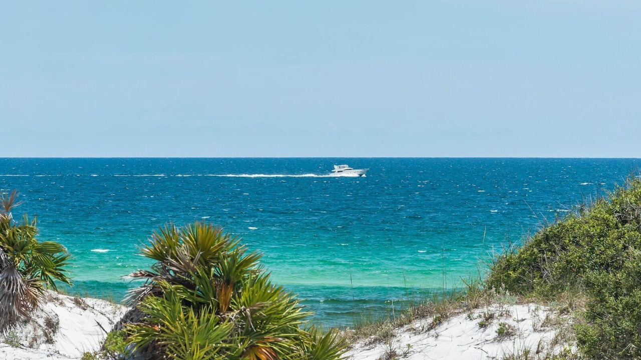 Photo of Others in WaterSound Beach