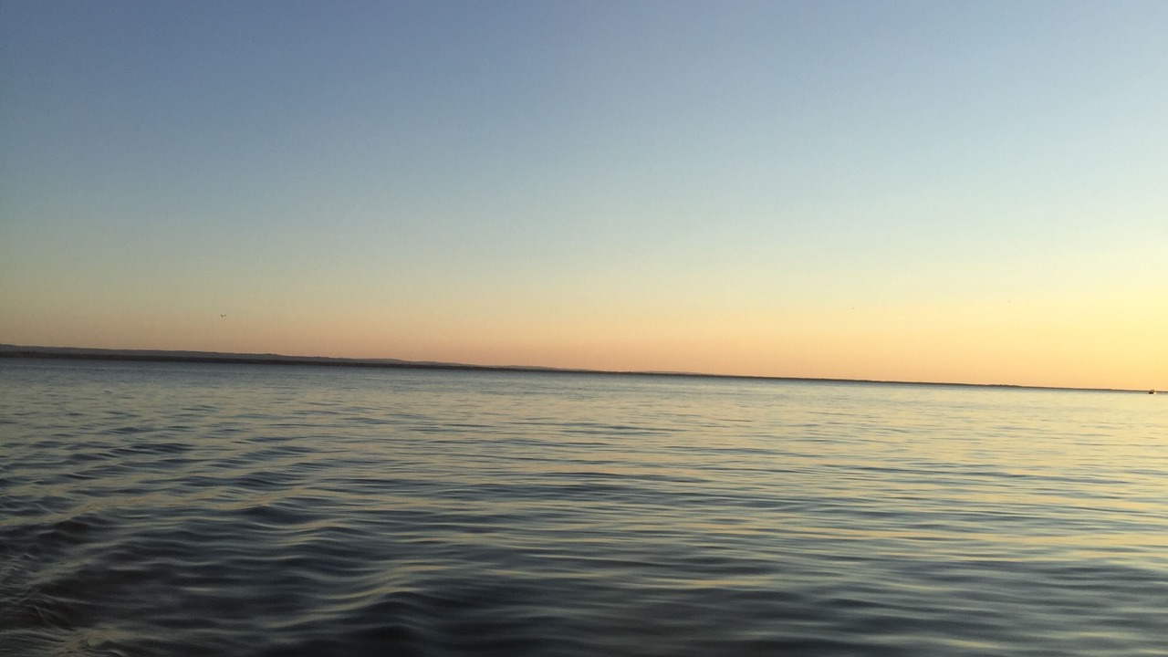 Photo of Others in North Bay
