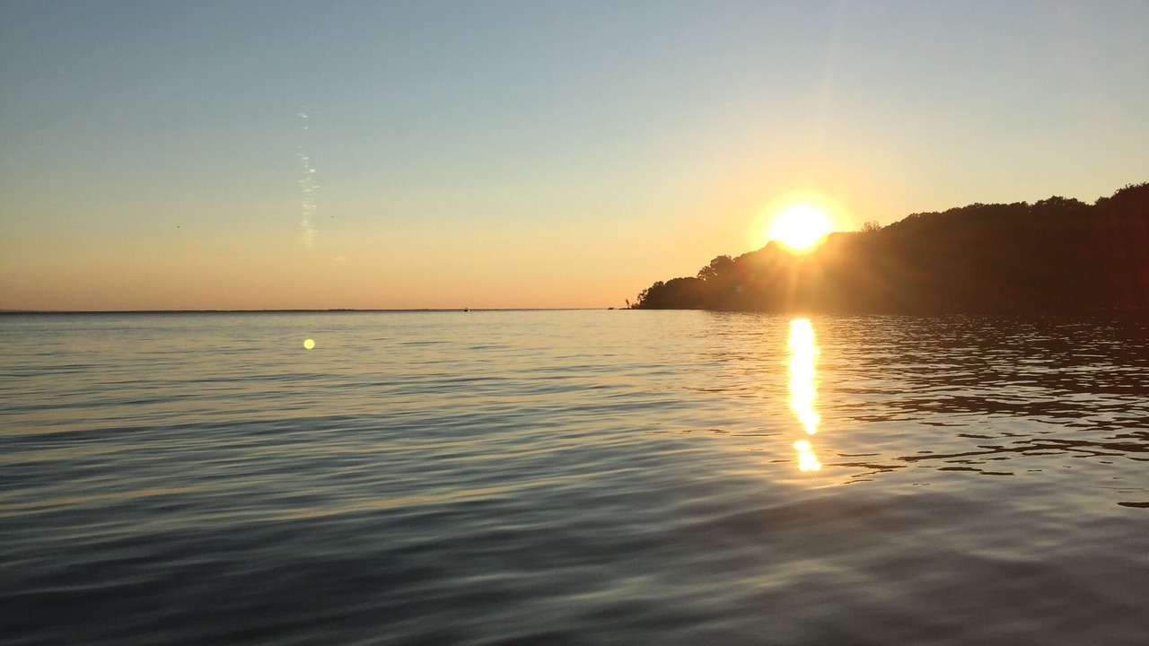 Photo of Others in North Bay