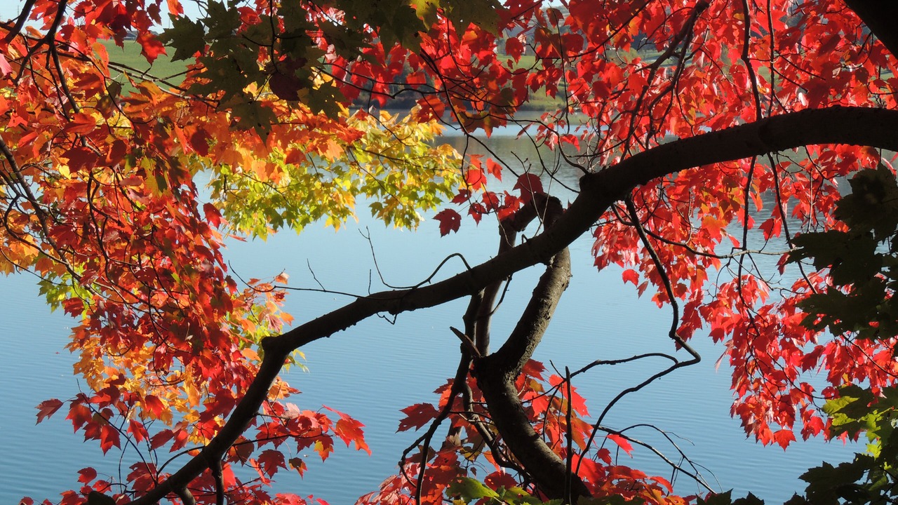 Photo of Outdoor in Romulus