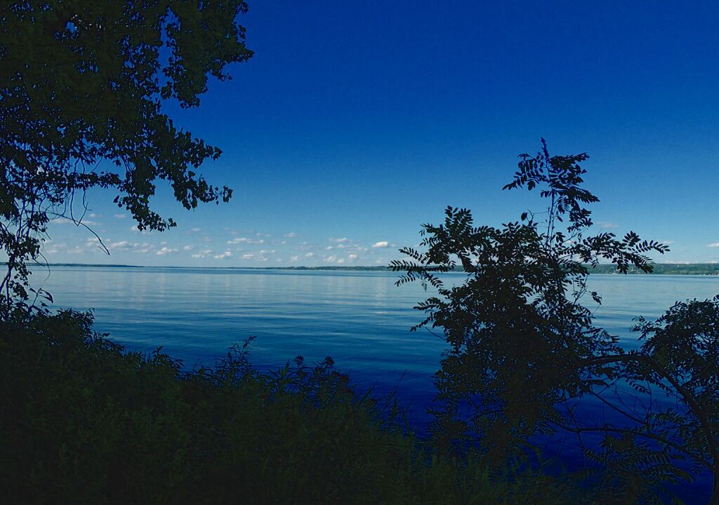 Photo of Outdoor in Romulus