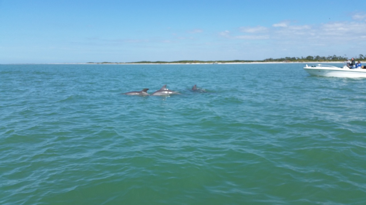 Photo of Others in Crystal Beach