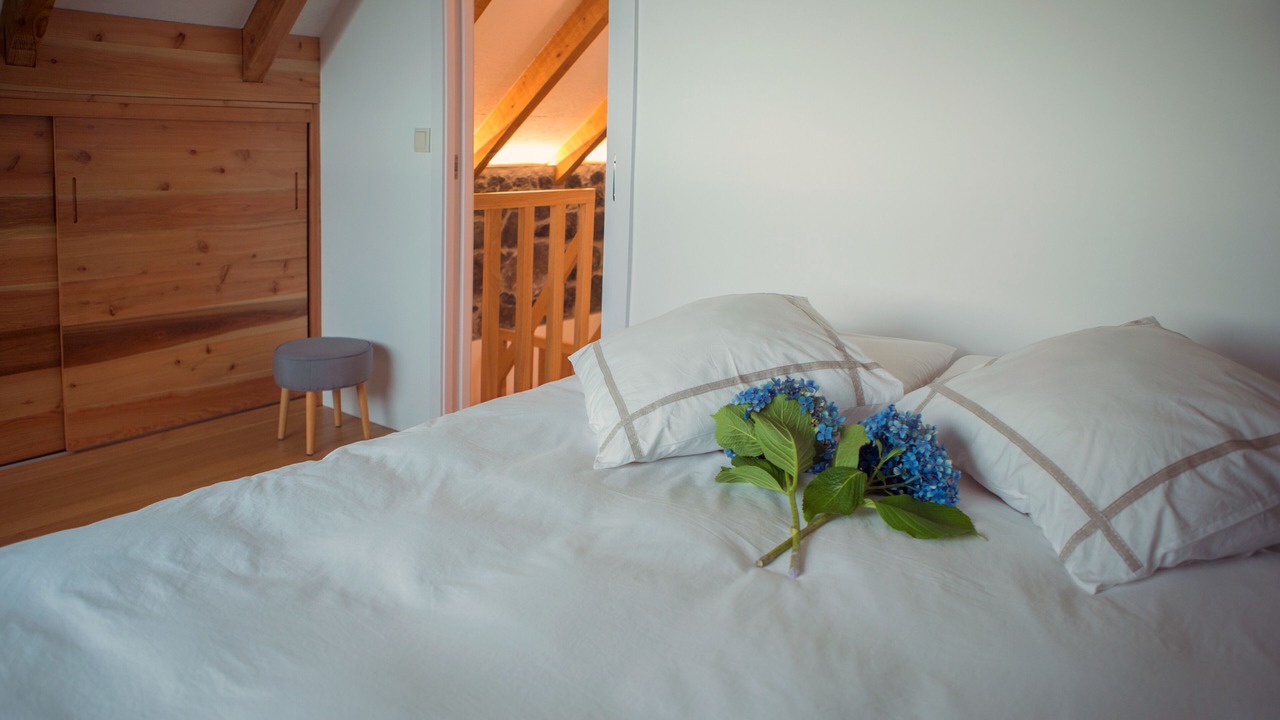 Photo of Bedroom in Calheta